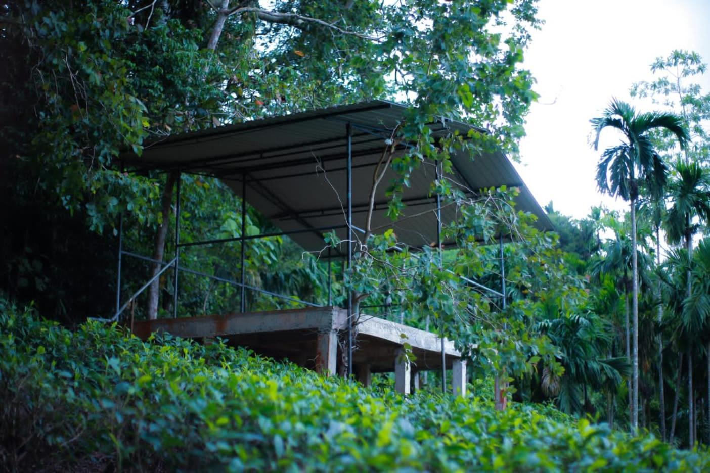 Rainforest Lodge, Deniyaya Singheraja מראה חיצוני תמונה