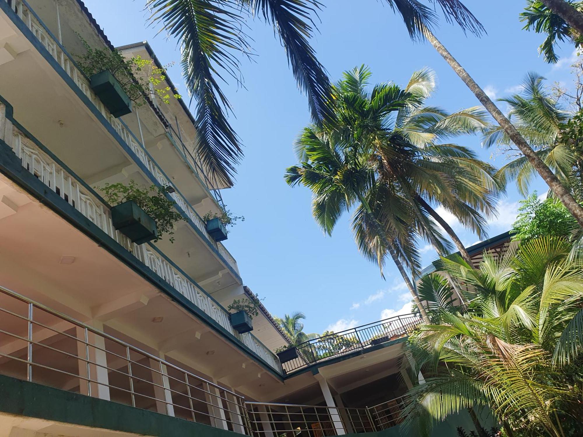 Rainforest Lodge, Deniyaya Singheraja מראה חיצוני תמונה