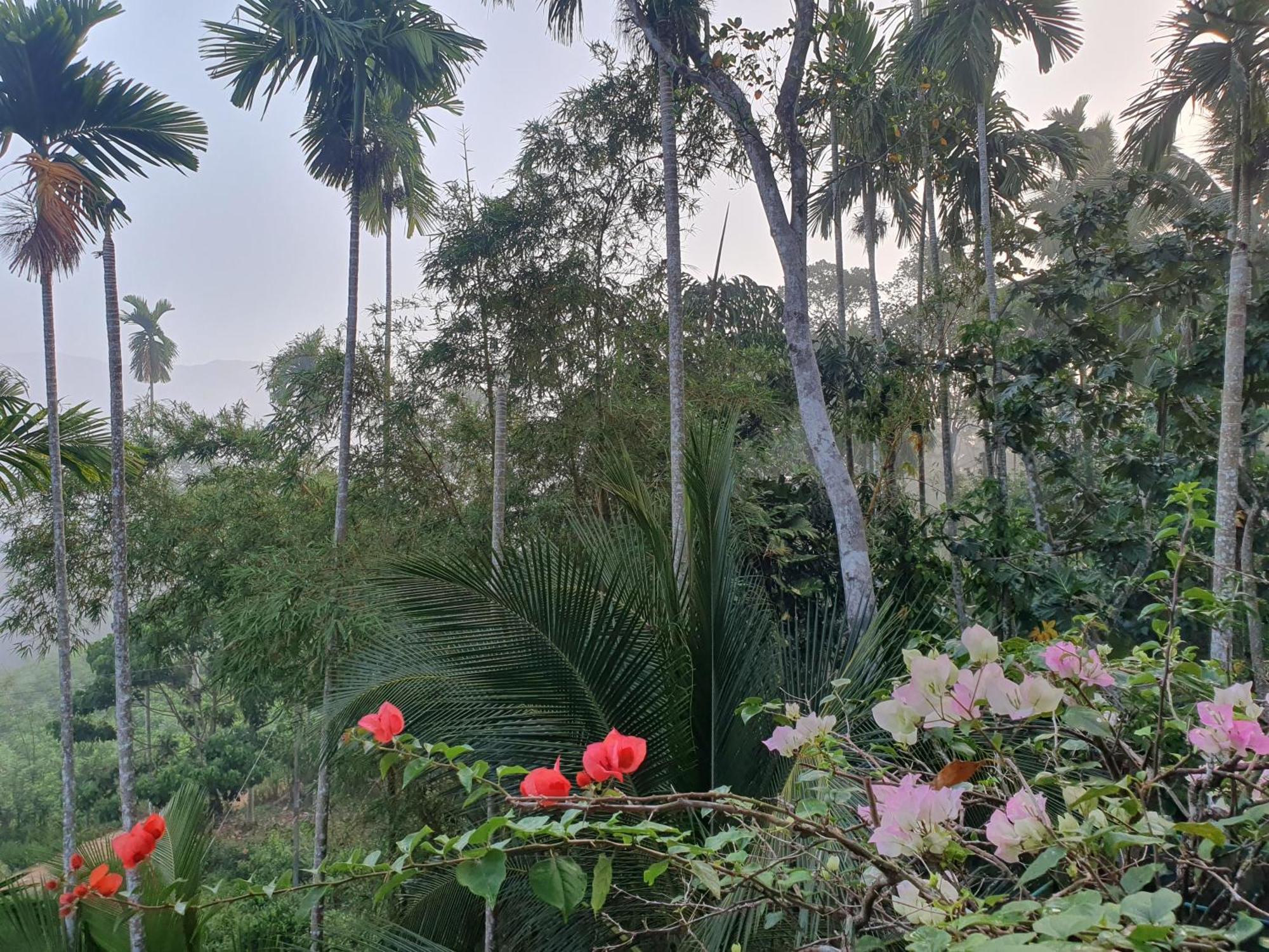 Rainforest Lodge, Deniyaya Singheraja מראה חיצוני תמונה