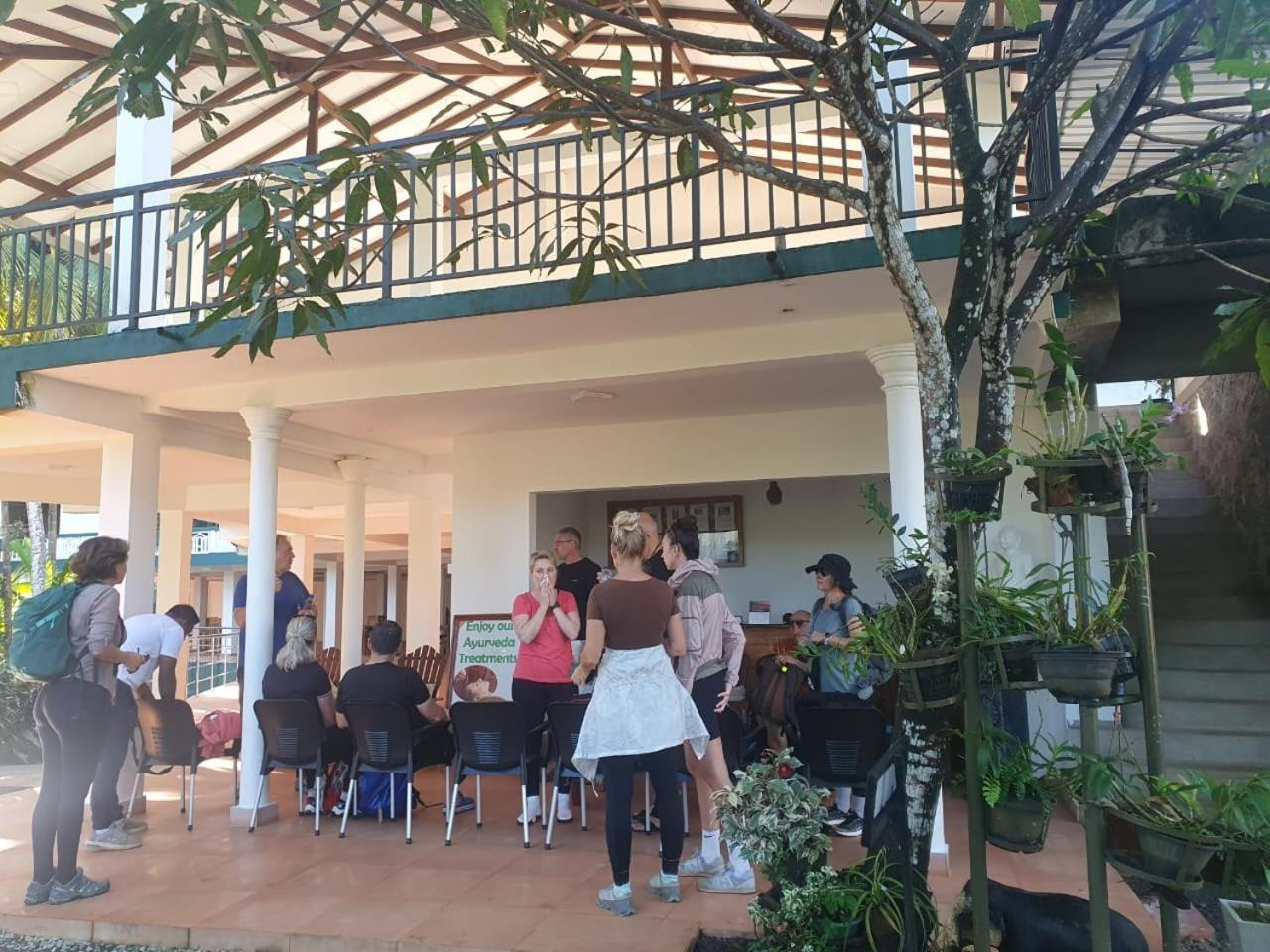 Rainforest Lodge, Deniyaya Singheraja מראה חיצוני תמונה