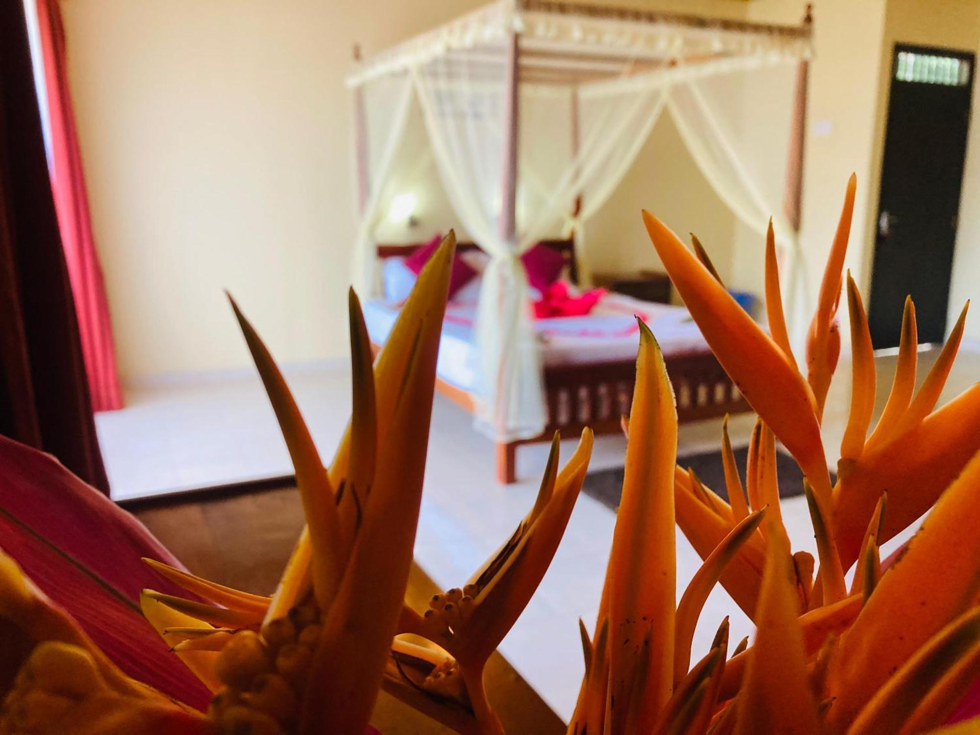 Rainforest Lodge, Deniyaya Singheraja מראה חיצוני תמונה